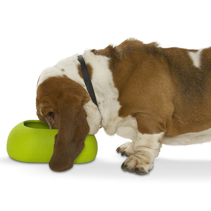 Basset Hound eating out of a KRUUSE Buster IncrediBowl