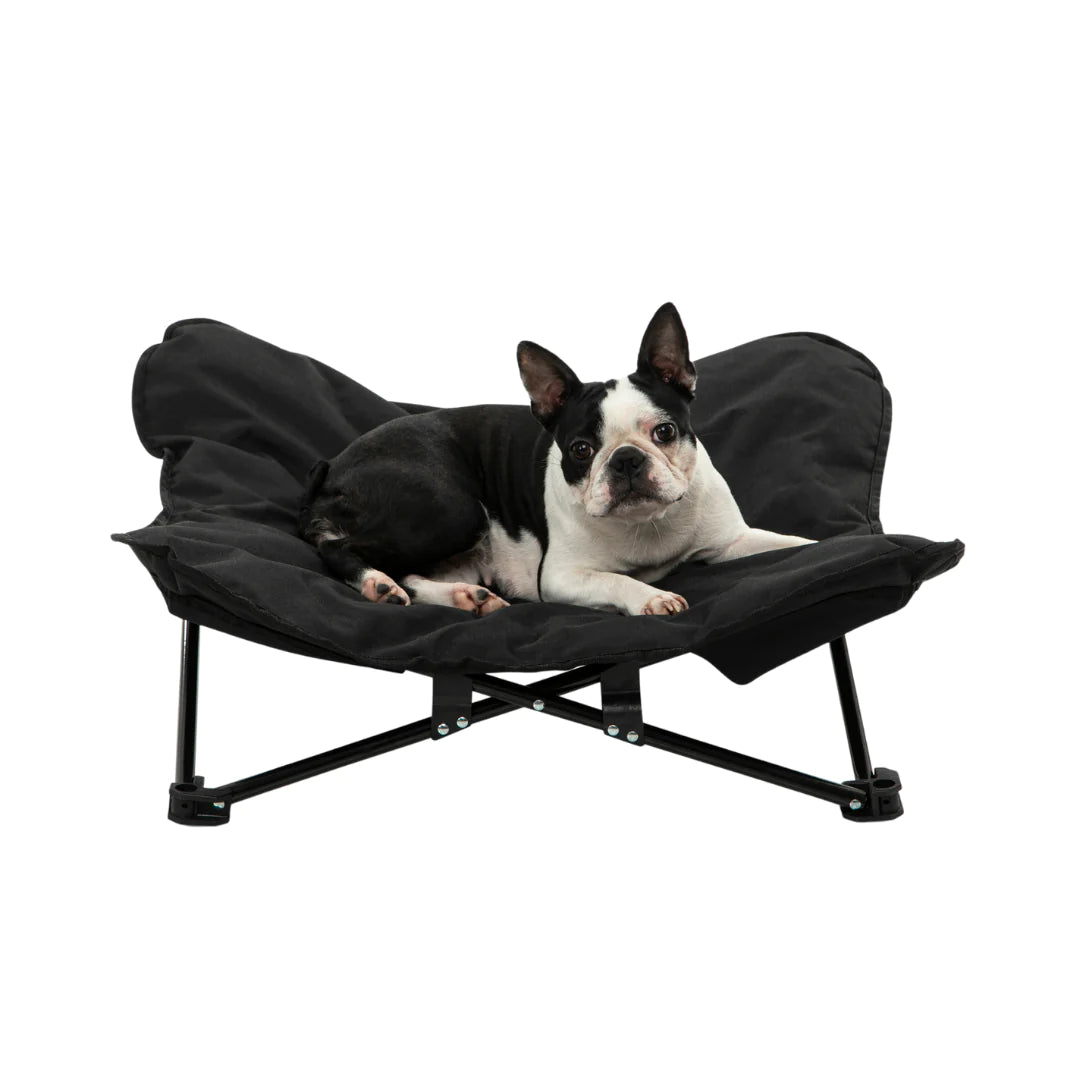 CHARLIE'S Foldable Outdoor Pet Chair with Boston Terrier