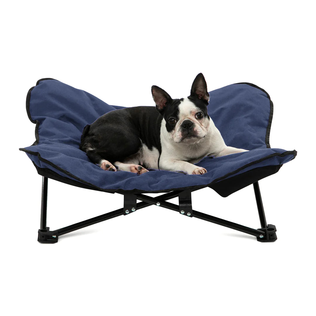 CHARLIE'S Foldable Outdoor Pet Chair in Blue with Boston Terrier lying