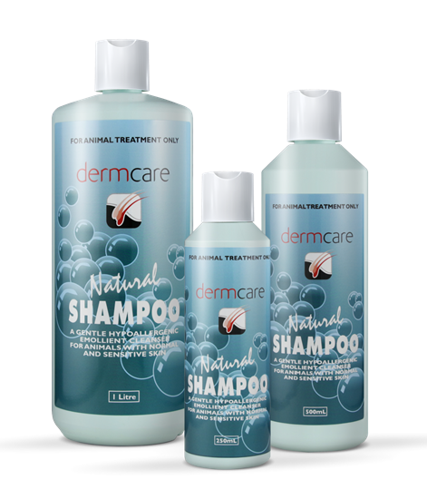 DERMCARE Natural Shampoo