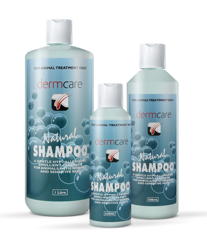 DERMCARE Natural Shampoo