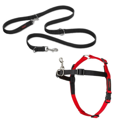 Halti Front Control Harness and Halti Training Lead