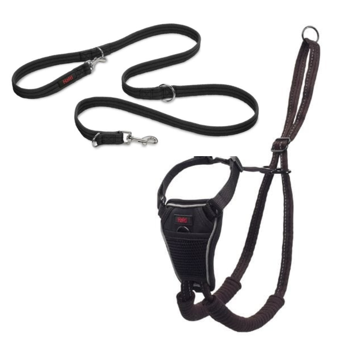 HALTI No Pull Harness and HALTI Training Lead 