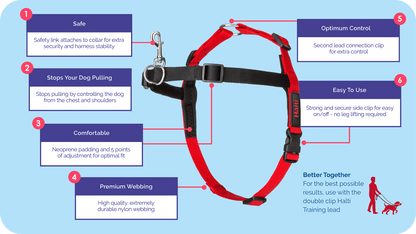 Halti Front Control Harness features