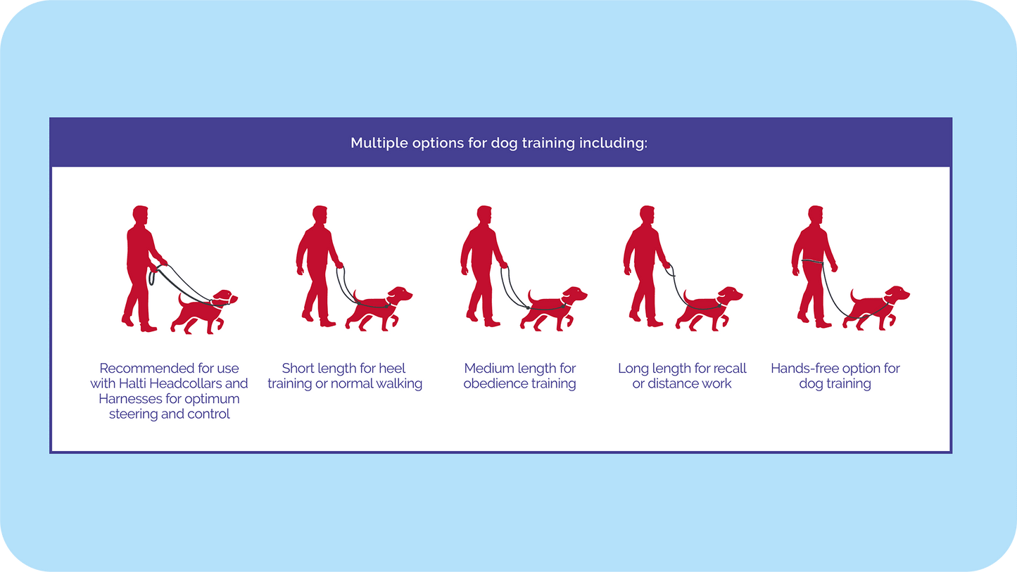 Multiple options for using the Halti Training Lead to train your dog