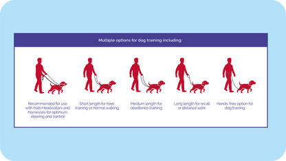 Multiple options for using the Halti Training Lead to train your dog