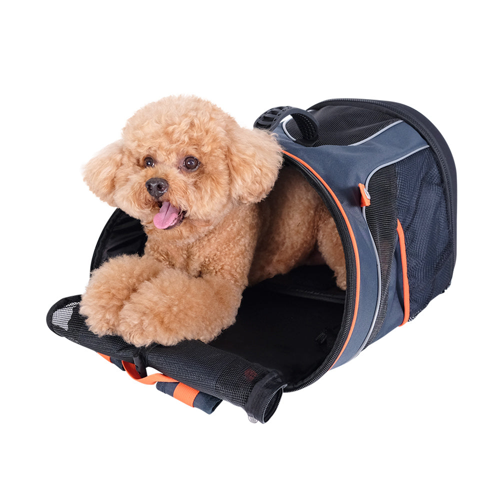 IBIYAYA Ultralight Pro Pet Backpack Navy open with poodle cross lying down