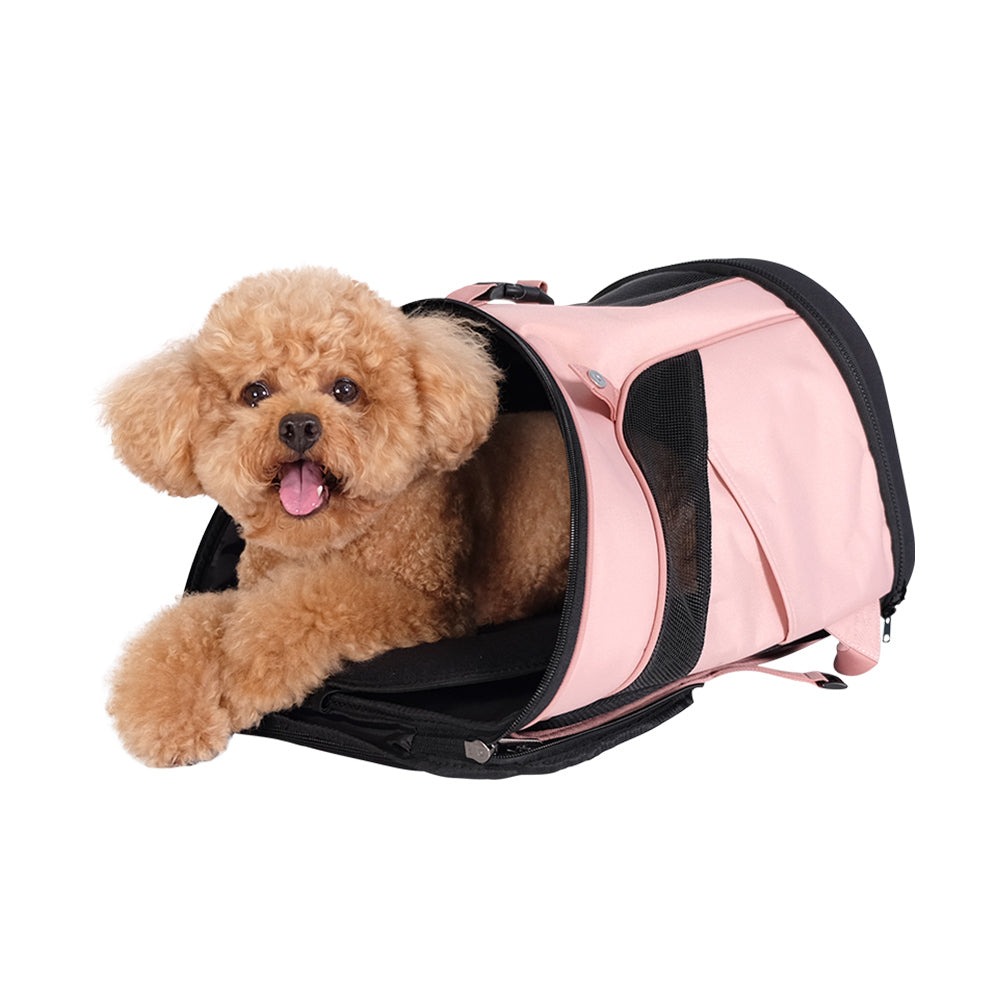 IBIYAYA® Ultralight Pro Pet Backpack in Coral Pink with poodle lying down