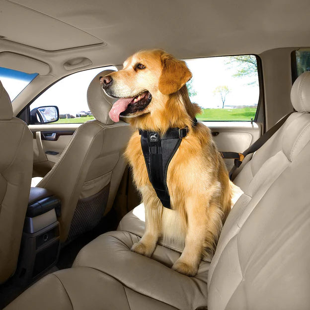 KURGO® Enhanced Strength Tru-Fit Dog Car Harness on Golden Retriever in car