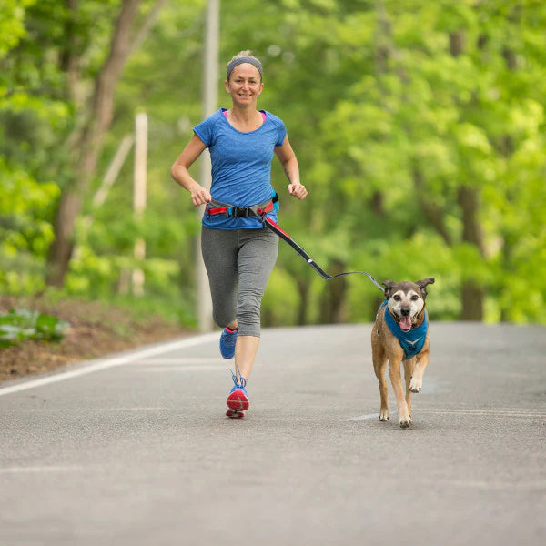 KURGO® Excursion Running Belt worn by woman attached to her dog by a KURGO Springback Leash whilst running together, front view