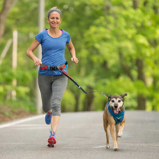 KURGO® Excursion Running Belt worn by woman attached to her dog whilst running together, front view