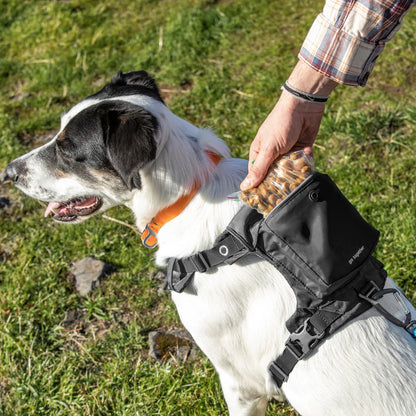 KURGO® Stash n’ Dash Harness on dog, treats stashed in pouch