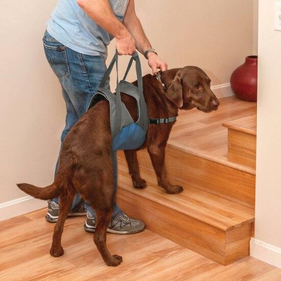 KURGO® Up and About Lifter on a dog being assisted up some steps by a man