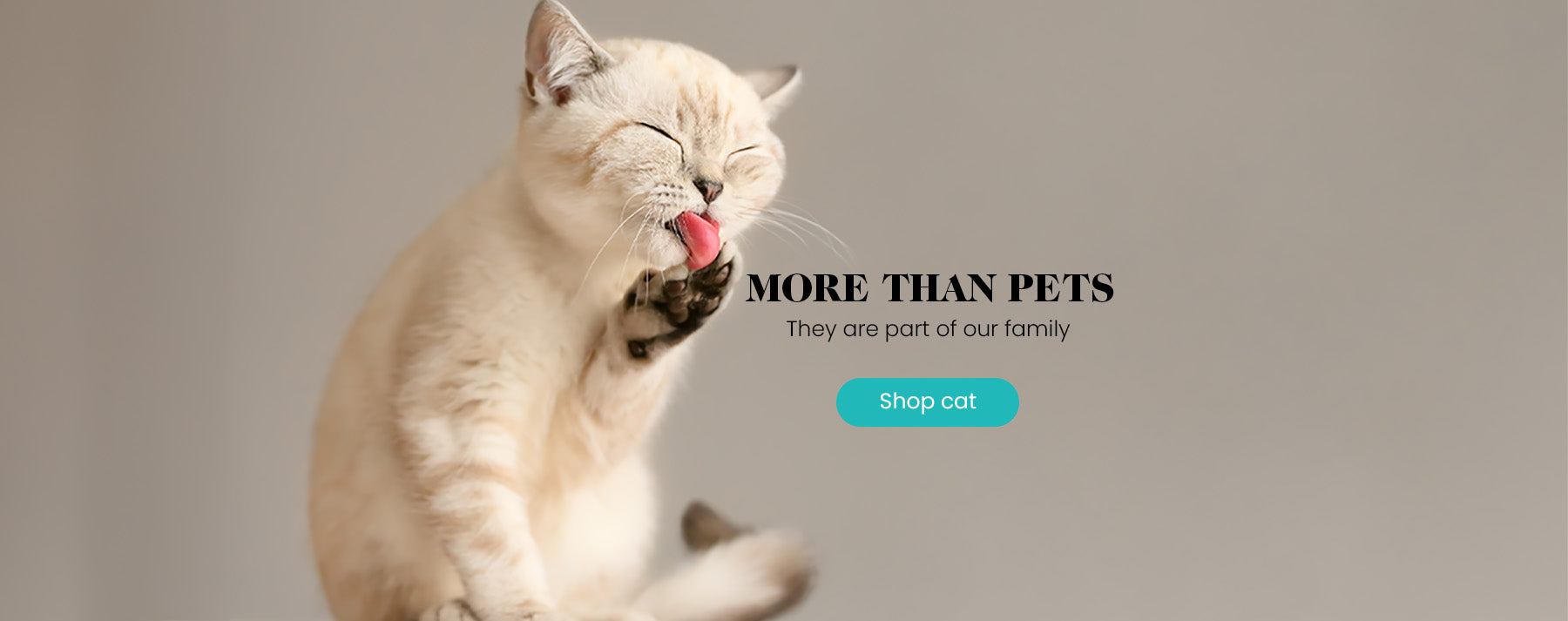 More Than Petz landing page - cat licking paw