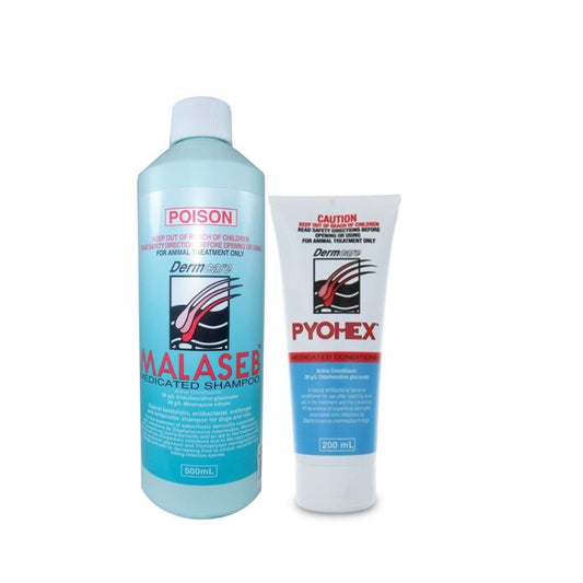 DERMCARE® Malaseb® Shampoo 500mL + Pyohex® Conditioner 200mL bundle - More Than Petz