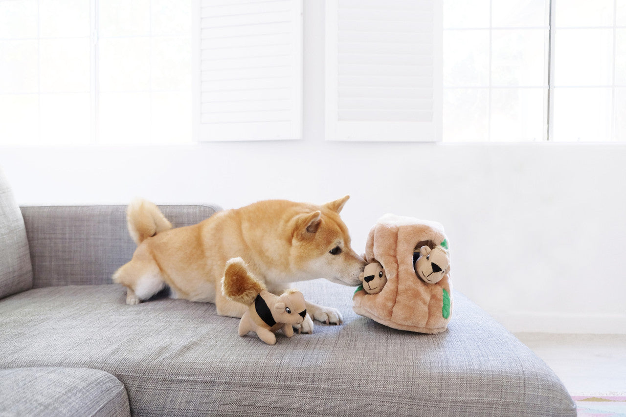 OUTWARD HOUND Hide-A-Squirrel with Shiba Inu