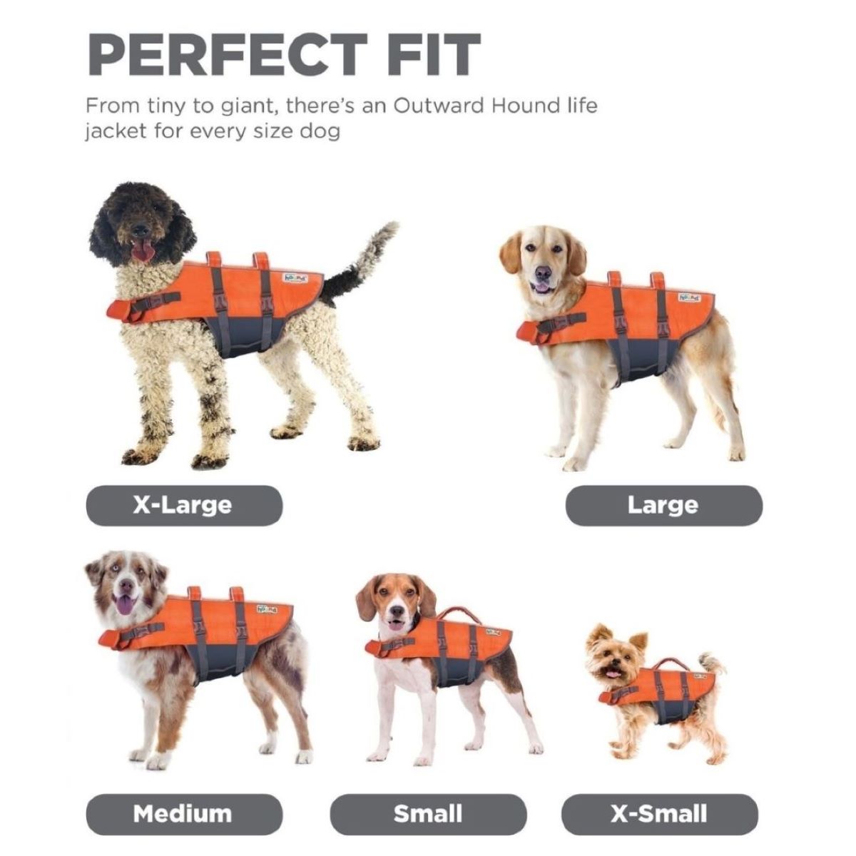 OUTWARD HOUND Granby Life Jacket for Dogs, size range