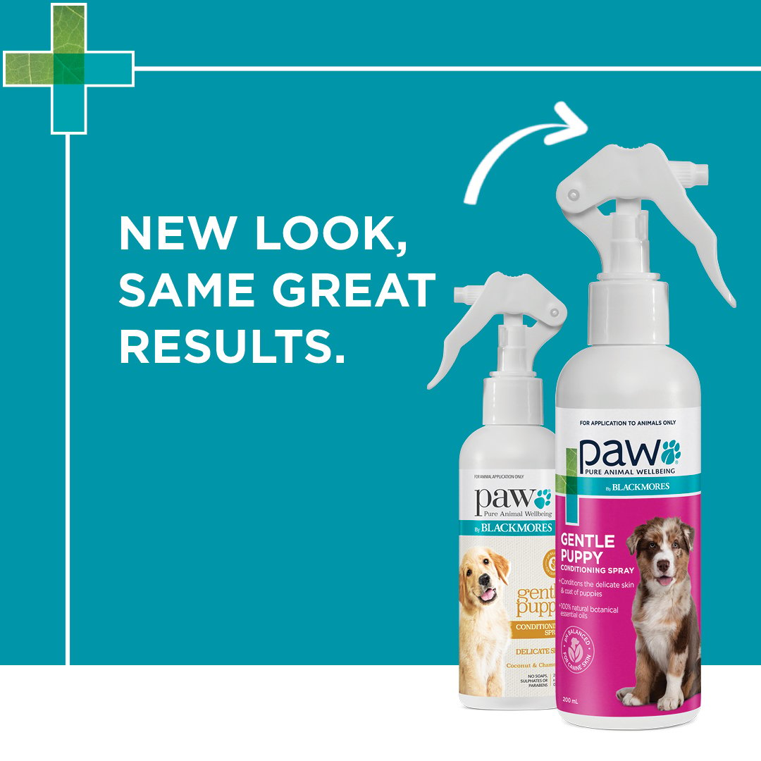 PAW BY BLACKMORES® - Puppy Conditioning Spray