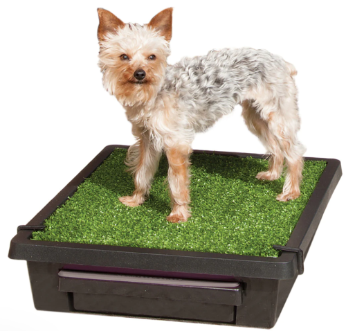 PETSAFE® Pet Loo®