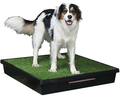 PETSAFE® Pet Loo®  ***SPECIAL ORDER*** - More Than Petz