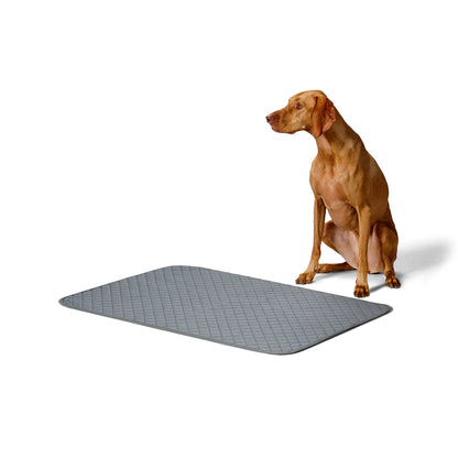 SNOOZA Washable Pee Pad