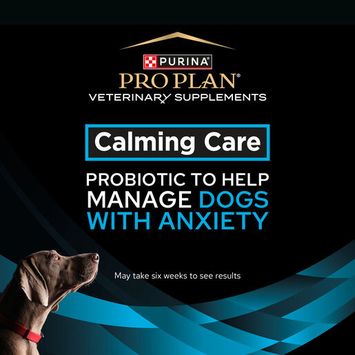 PURINA PRO PLAN VETERINARY SUPPLEMENTS - Calming Care Canine