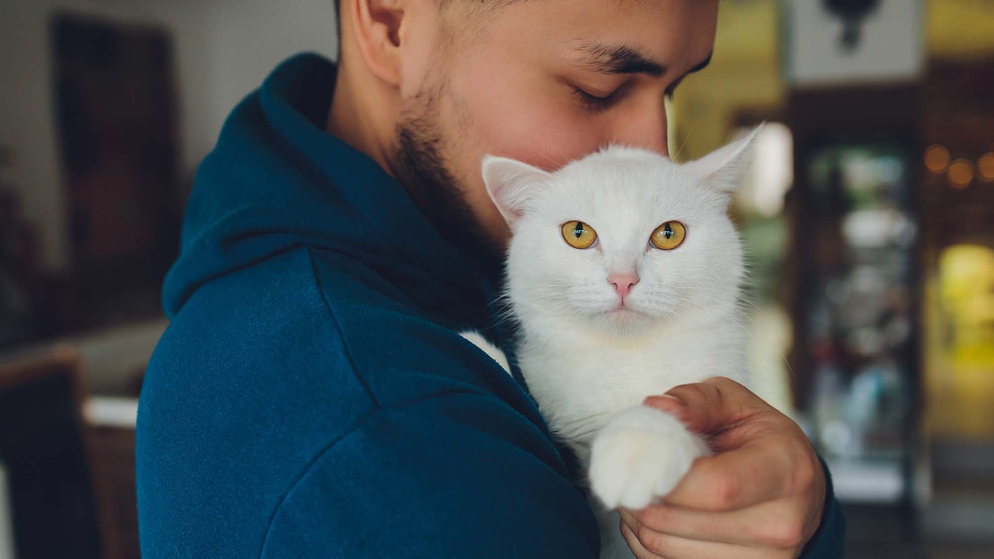 Young man holding a white cat close-up.