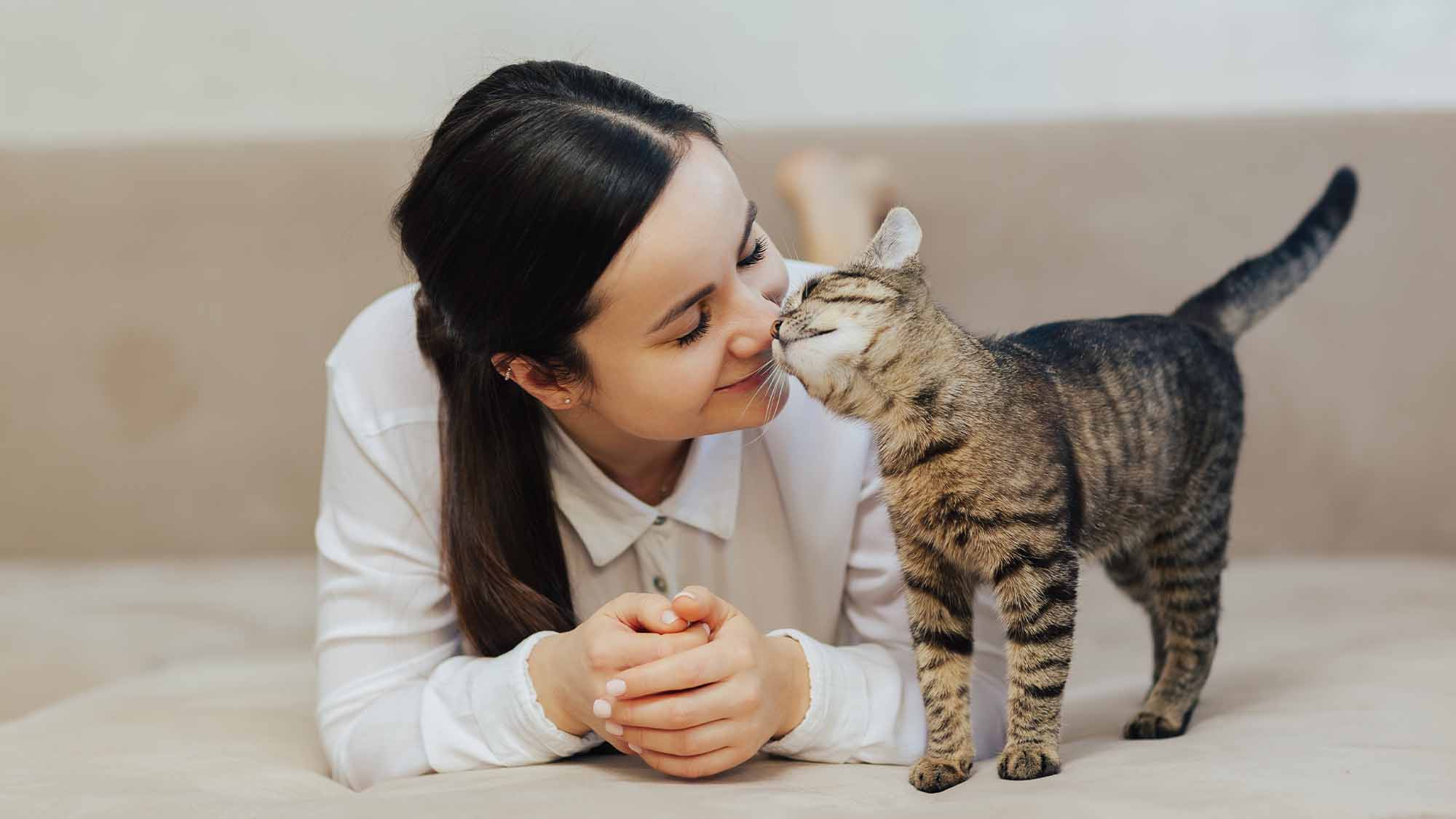 Cat and woman nose to nose