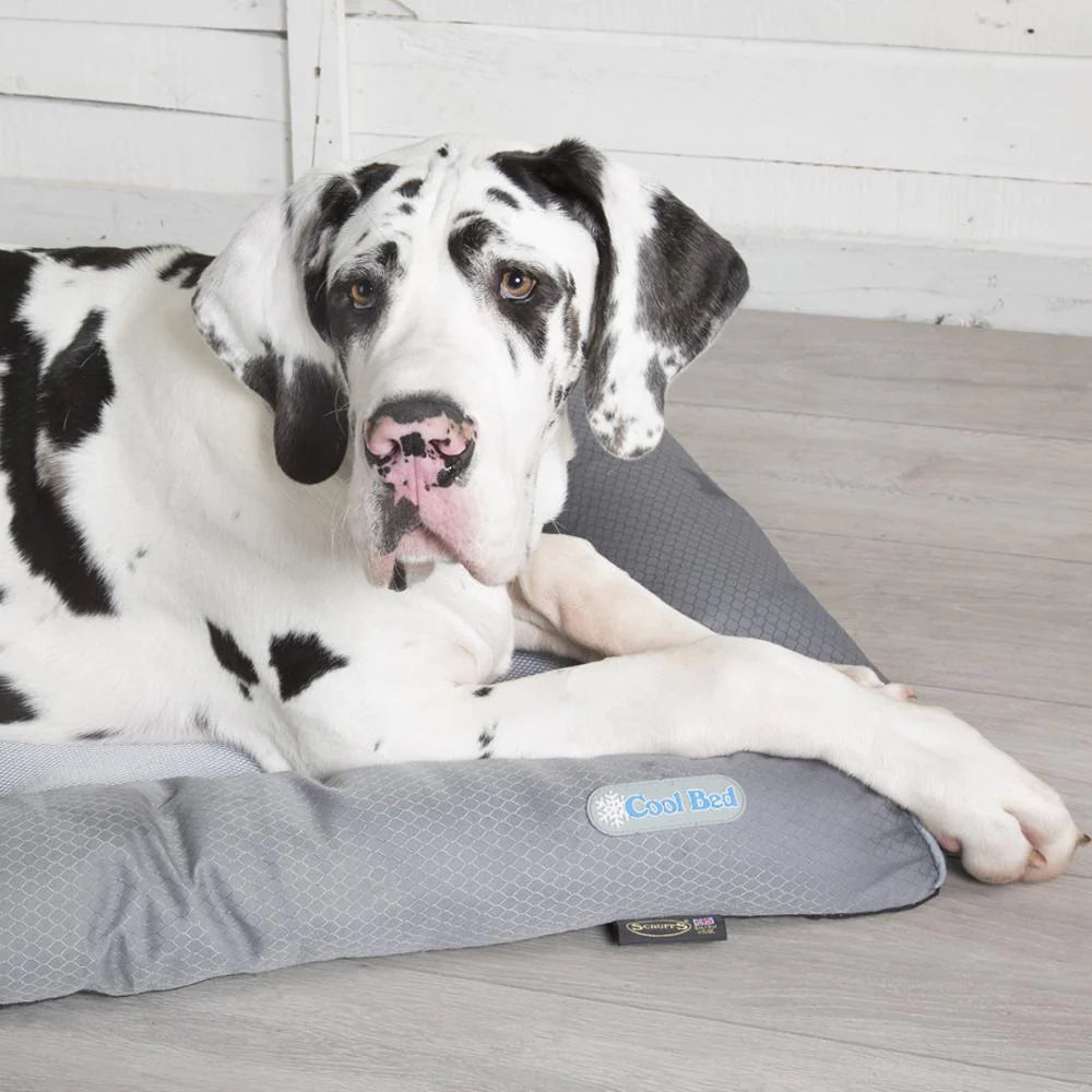 SCRUFFS Cool Dog Bed with Great Dane, close-up