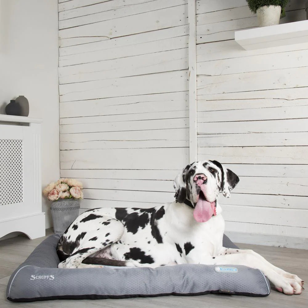 SCRUFFS Cool Dog Bed with Great Dane