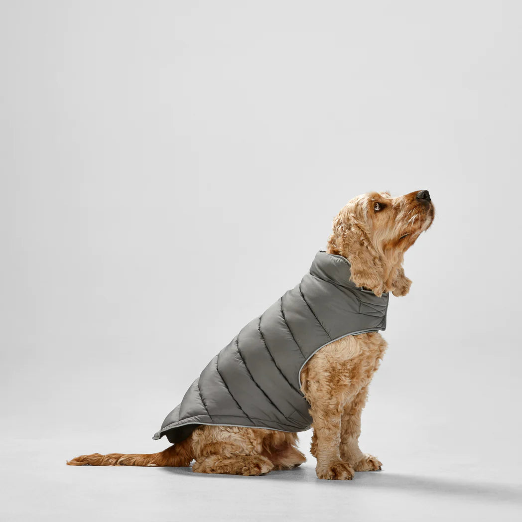 SNOOZA Wear Sport Puffer Dog Jacket