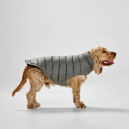 SNOOZA Wear Sport Puffer Dog Jacket