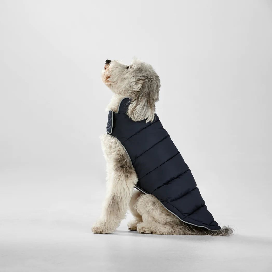 SNOOZA Wear Sport Puffer Dog Jacket