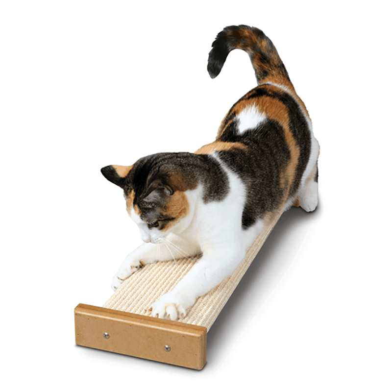 SMARTCAT® Bootsie's Combination Sisal Cat Scratch Post with Cat