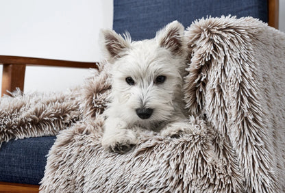 SNOOZA Calming Cuddler Blanket with Westie