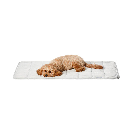 Snooza Cooling Comfort Dog Blanket with dog lying on it