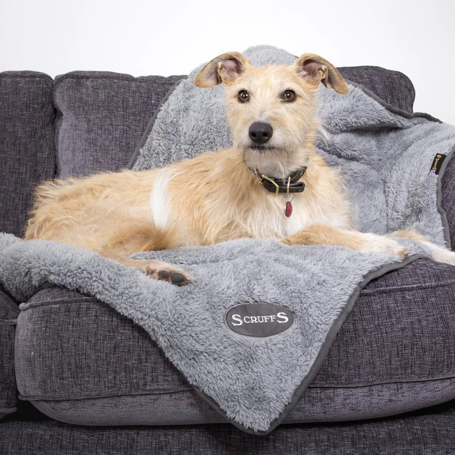 SCRUFFS Cosy Blanket in grey