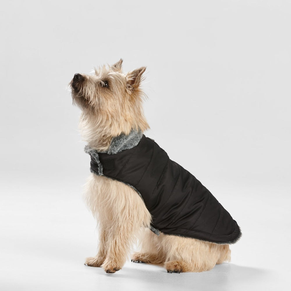 SNOOZA Wear Puffer Dog Coat with Fur Collar in Black