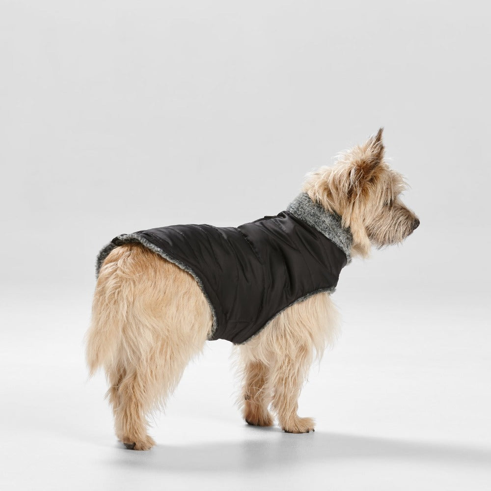 SNOOZA Wear Puffer Dog Coat with Fur Collar in Black