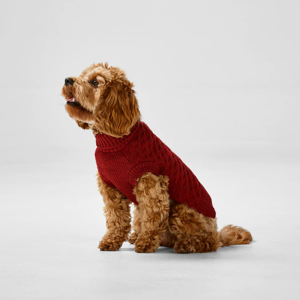 SNOOZA Wear RPET Knit Polo in Red