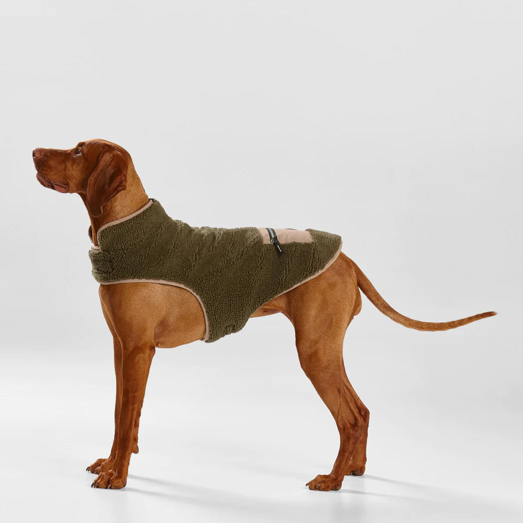 SNOOZA Wear Teddy Dog Coat with Pocket in Khaki/Fawn