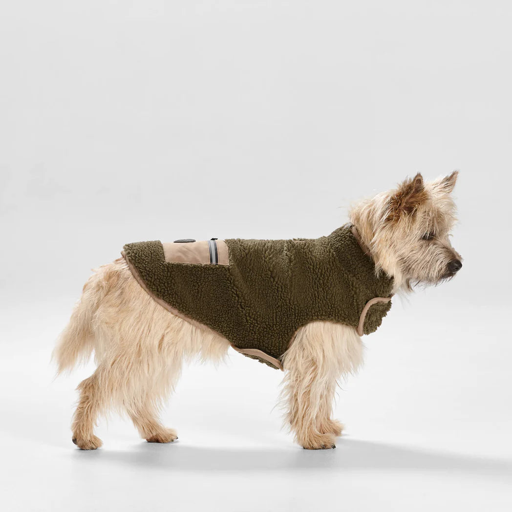 SNOOZA Wear Teddy Dog Coat with Pocket in Khaki/Fawn