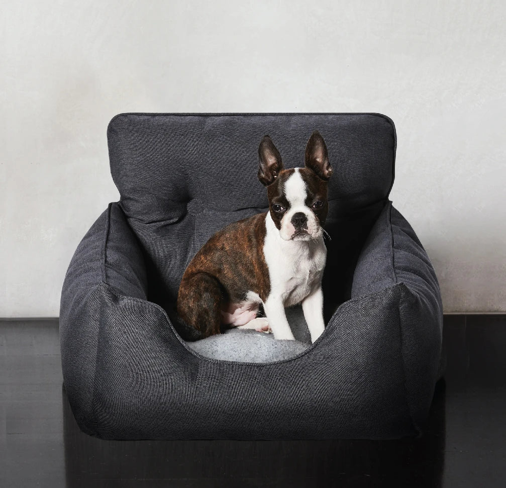 SNOOZA Travel Bed with Boston Terrier