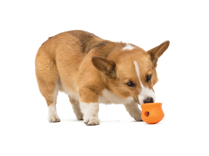 WEST PAW TOPPL® Treat Dispensing Wobbling Dog Toy & Food Bowl