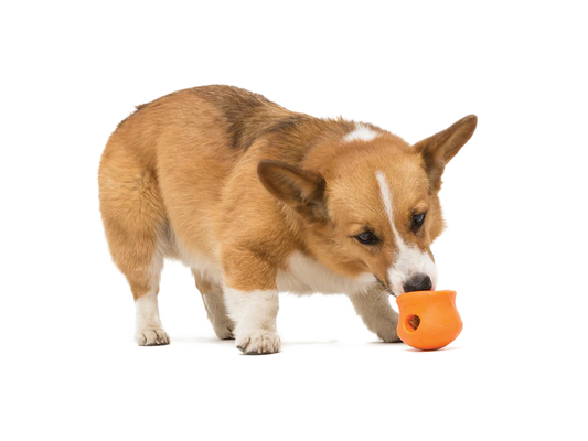 WEST PAW TOPPL® Treat Dispensing Wobbling Dog Toy & Food Bowl