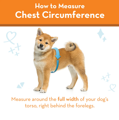 THUNDERWORKS THUNDERSHIRT for Dogs - How to Measure Chest Circumference