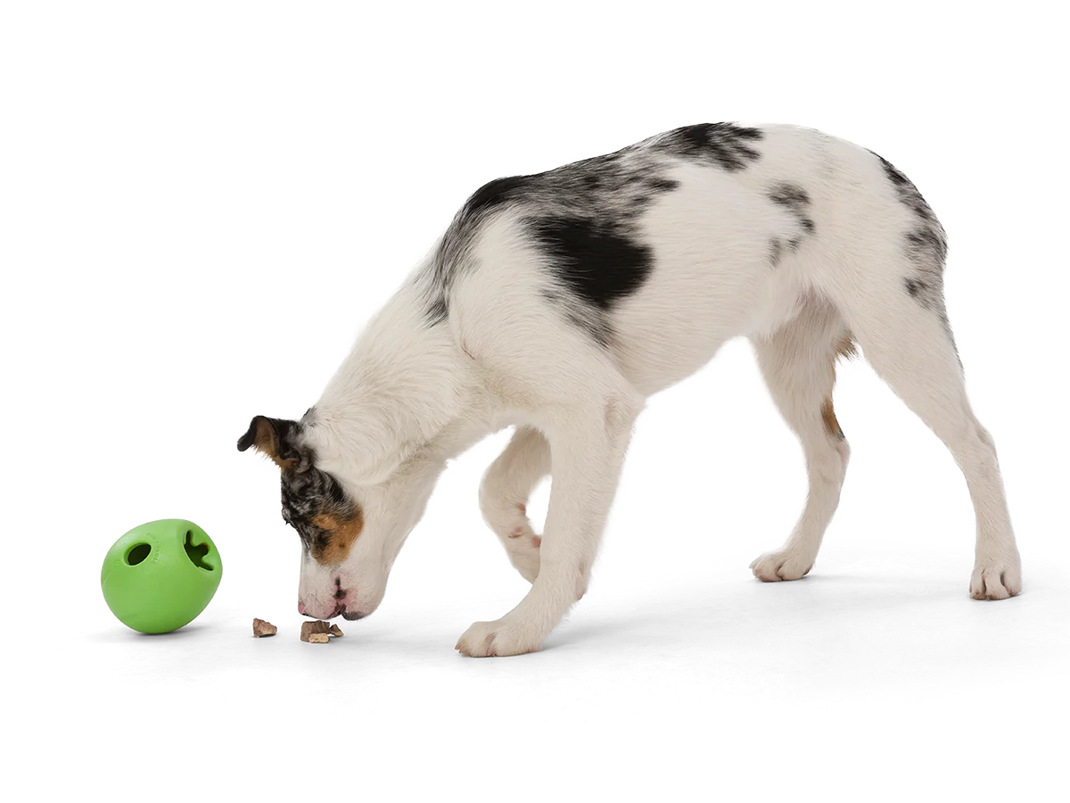 WEST PAW RUMBL® Treat Dispensing Dog Toy