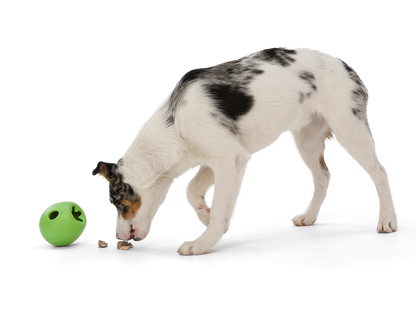 WEST PAW RUMBL® Treat Dispensing Dog Toy