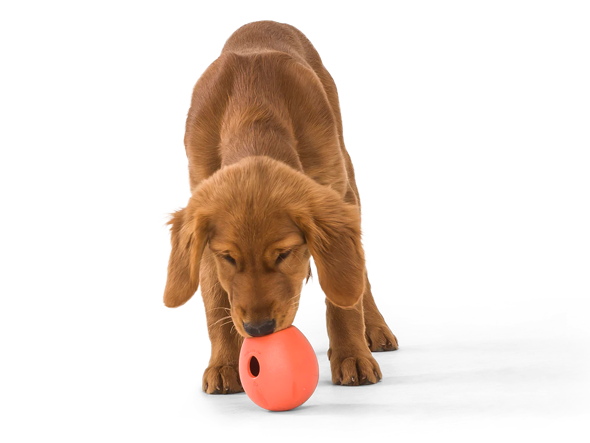 WEST PAW RUMBL® Treat Dispensing Dog Toy