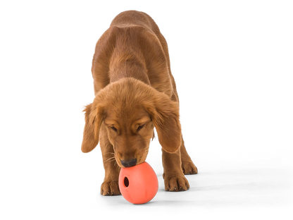 WEST PAW RUMBL® Treat Dispensing Dog Toy